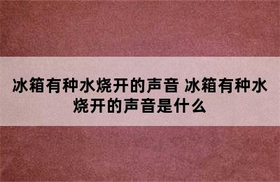 冰箱有种水烧开的声音 冰箱有种水烧开的声音是什么